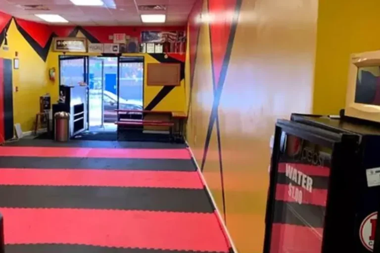 iron lion karate camden kids classes 768x512